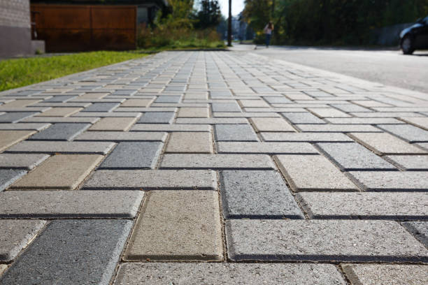 Best Driveway Drainage Solutions in Olean, NY